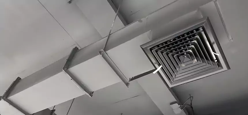 Our Rodent Droppings In Vents Services in Somerville, MA