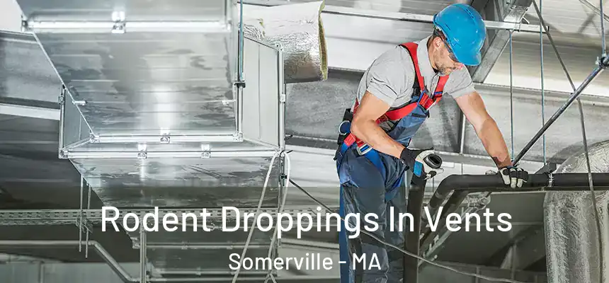  Rodent Droppings In Vents Somerville - MA
